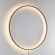 Светильник подвесной Undine Lightstar 738657