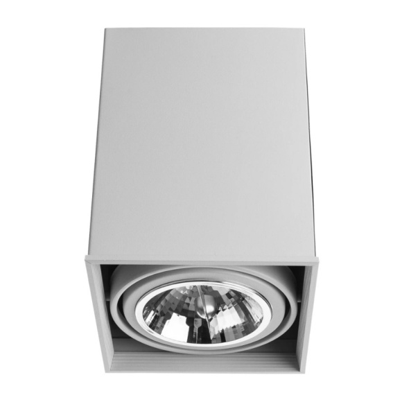 Точечный накладной светильник Arte Lamp CARDANI GRANDE A5936PL-1WH Точечный накладной светильник Arte Lamp CARDANI GRANDE A5936PL-1WH