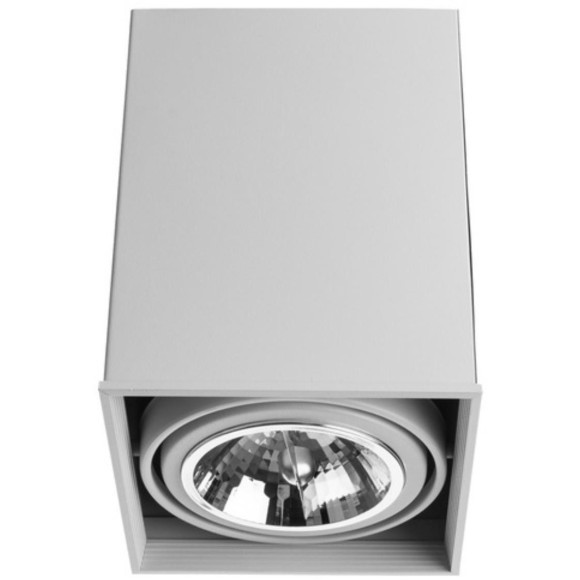 Точечный накладной светильник Arte Lamp CARDANI GRANDE A5936PL-1WH Точечный накладной светильник Arte Lamp CARDANI GRANDE A5936PL-1WH