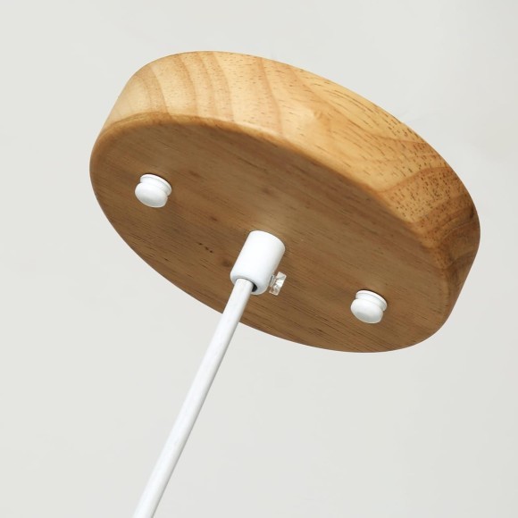 Подвесной светильник Pendenti 2014-1P