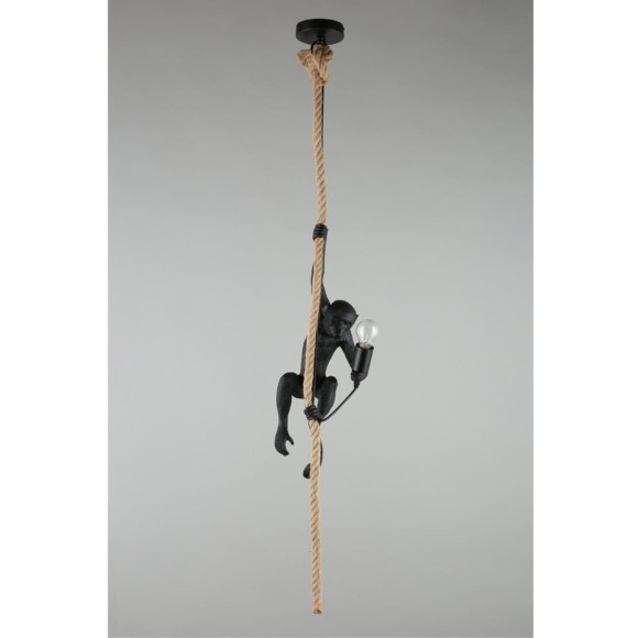 Светильник подвесной APL.309.16.01 Светильник подвесной APL.309.16.01