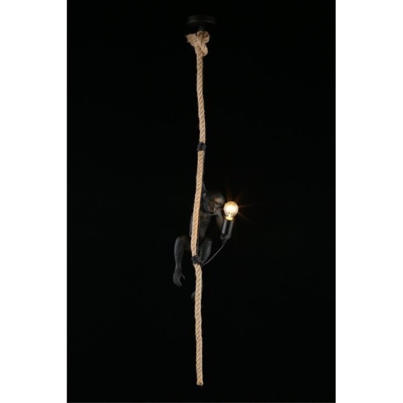 Светильник подвесной APL.309.16.01 Светильник подвесной APL.309.16.01