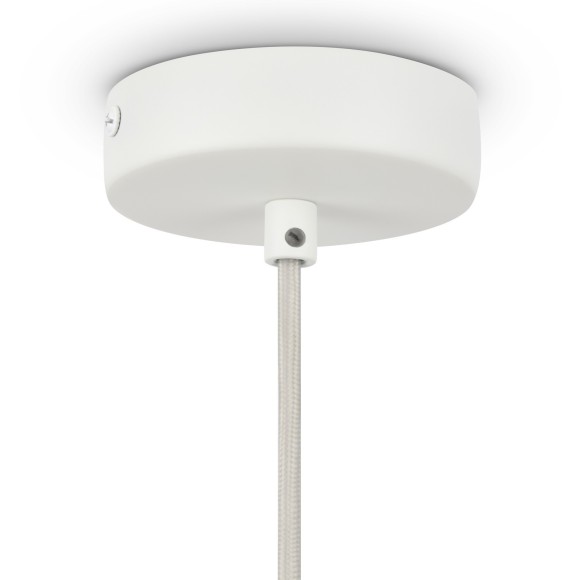 Подвесной светильник Maytoni P150PL-01BG Bruco под лампу 1xE14 40W