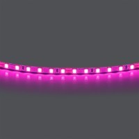 Лента цветного свечения 24V, розовый Lightstar Lightstar 420512