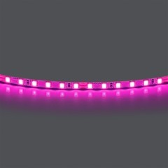 Лента цветного свечения 24V, розовый Lightstar Lightstar 420512