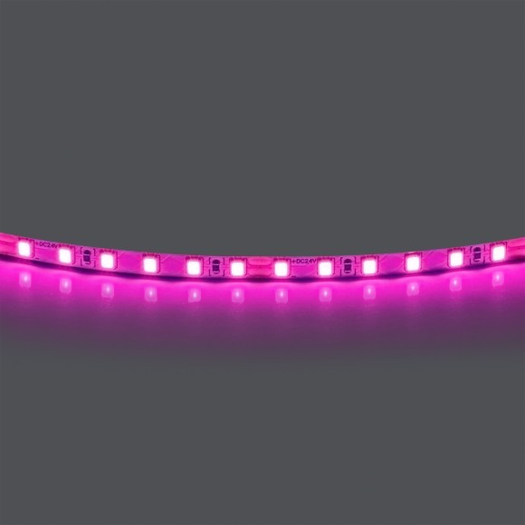 Лента цветного свечения 24V, розовый Lightstar Lightstar 420512