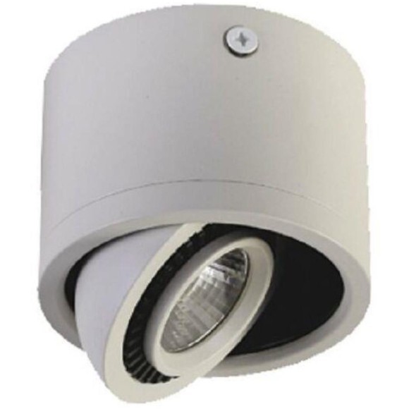 Точечный светильник Reflector 1774-1C