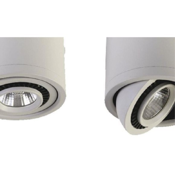 Точечный светильник Reflector 1774-1C