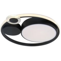 Потолочный светильник Arte Lamp STOCKHOLM A2690PL-1BK