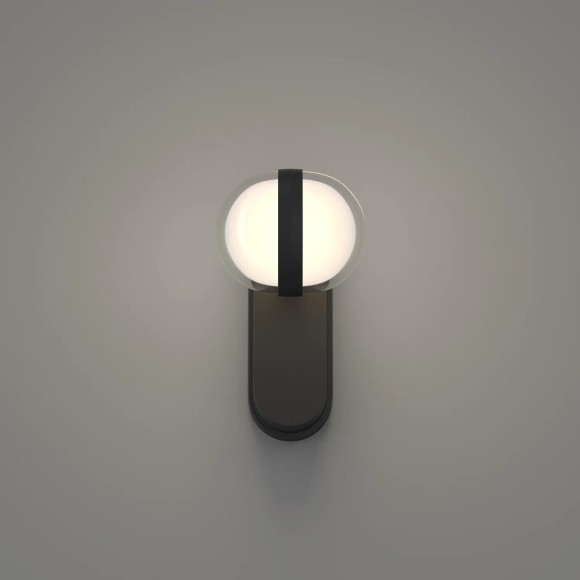 Настенный уличный светильник Favourite 4852-1W Jocus