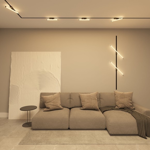 Однофазный двужильный светодиодный трековый светильник Denkirs DK6438-BK Strom 3000К 800Лм CRI90+ 300° 10Вт