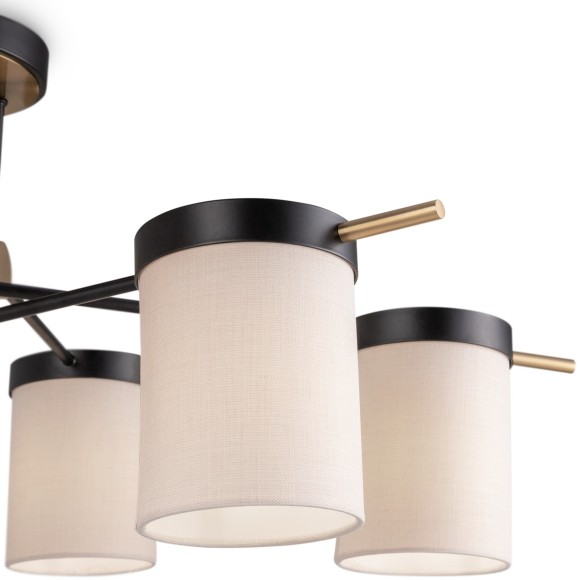 Потолочный светильник Freya FR5377CL-06B