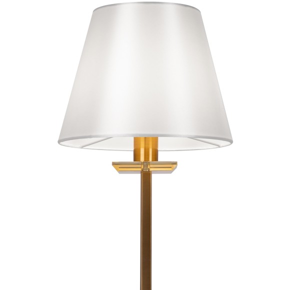 Интерьерная настольная лампа с выключателем Forte FR1006TL-01G