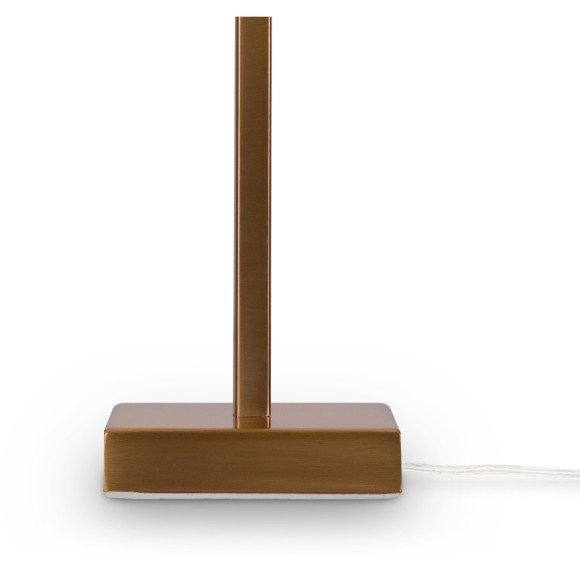 Интерьерная настольная лампа с выключателем Forte FR1006TL-01G