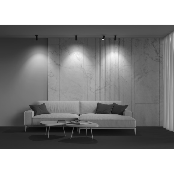 Однофазный двужильный светодиодный трековый светильник Maytoni Unity TR021-1-124K-Z-B Focus Zoom 4000К 900Лм CRI90+ 50° 12Вт Однофазный двужильный светодиодный трековый светильник Maytoni Unity TR021-1-124K-Z-B Focus Zoom 4000К 900Лм CRI90+ 50° 12Вт