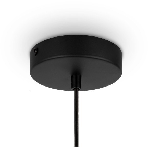 Подвесной светильник Maytoni MOD193PL-01W