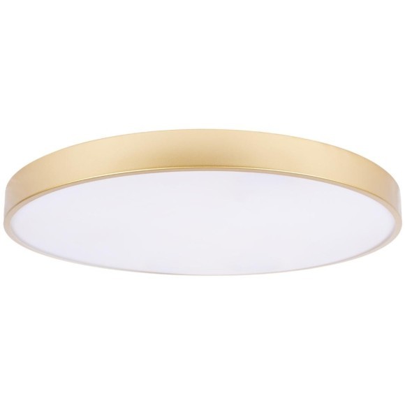 10228/B Потолочный светильник LOFT IT Flims