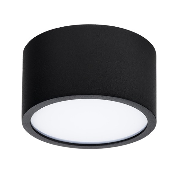 Уличный потолочный светильник Lightstar 213917 Zolla IP44 светодиодный LED 100W