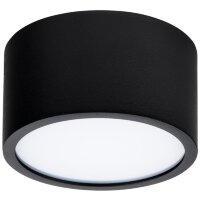 Уличный потолочный светильник Lightstar 213917 Zolla IP44 светодиодный LED 100W