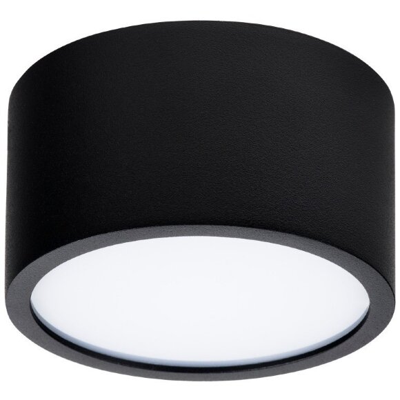 Уличный потолочный светильник Lightstar 213917 Zolla IP44 светодиодный LED 100W