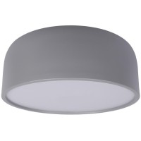 10201/350 Grey Потолочный светильник LOFT IT Axel