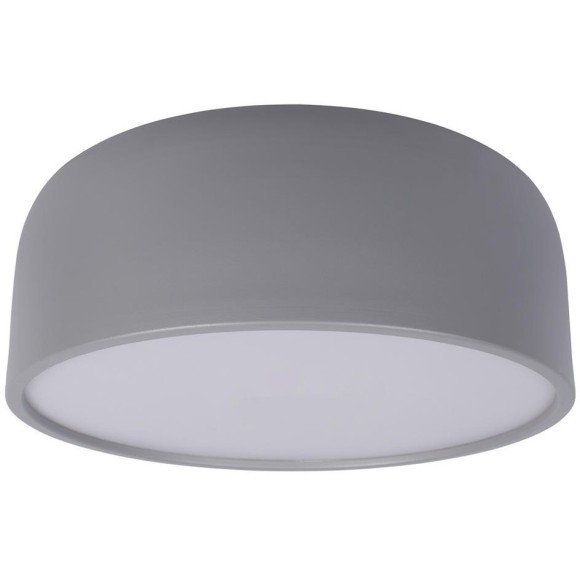 10201/350 Grey Потолочный светильник LOFT IT Axel