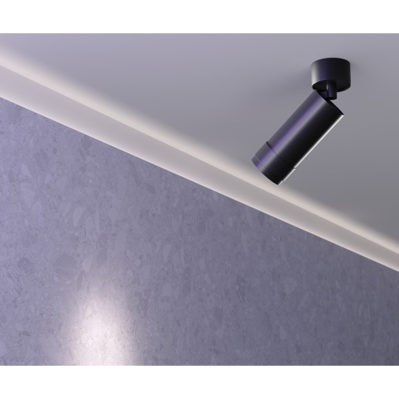 Потолочный светильник Technical C055CL-L12W3K-Z-B Потолочный светильник Technical C055CL-L12W3K-Z-B