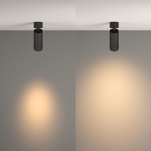 Потолочный светильник Technical C055CL-L12W3K-Z-B Потолочный светильник Technical C055CL-L12W3K-Z-B