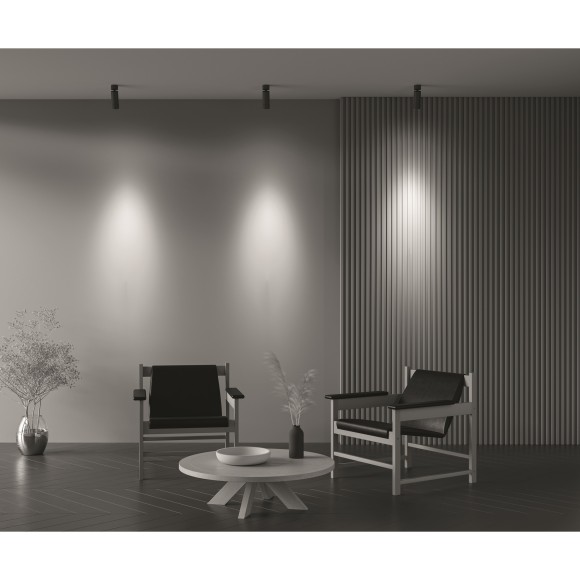 Потолочный светильник Technical C055CL-L12W3K-Z-B Потолочный светильник Technical C055CL-L12W3K-Z-B