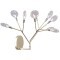 Бра Crystal Lux EVITA AP9 GOLD/TRANSPARENT