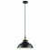 Подвесной светильник с 1 плафоном Odeon Light 3366/1 MIRT под лампу 1xE27 60W