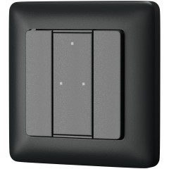 2-х кнопочная настенная панель Maytoni DALI 721043 2-х кнопочная настенная панель Maytoni DALI 721043