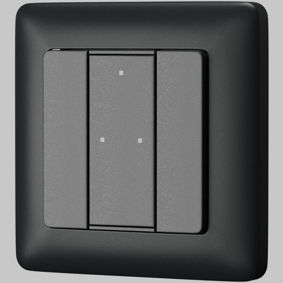 2-х кнопочная настенная панель Maytoni DALI 721043