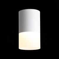 ST100.502.10 Светильник потолочный Белый LED 1*10W 3000K 780Lm Ra80 120° D78xH135 170-240V Накладные светильники