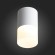ST100.502.10 Светильник потолочный Белый LED 1*10W 3000K 780Lm Ra80 120° D78xH135 170-240V Накладные светильники
