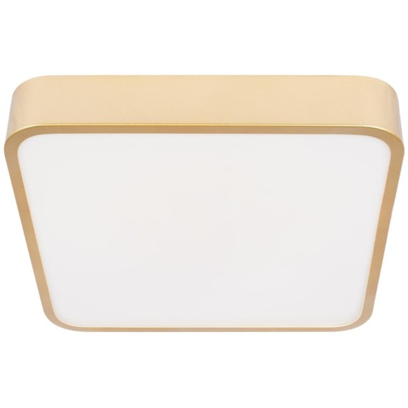 10228/C Потолочный светильник LOFT IT Flims