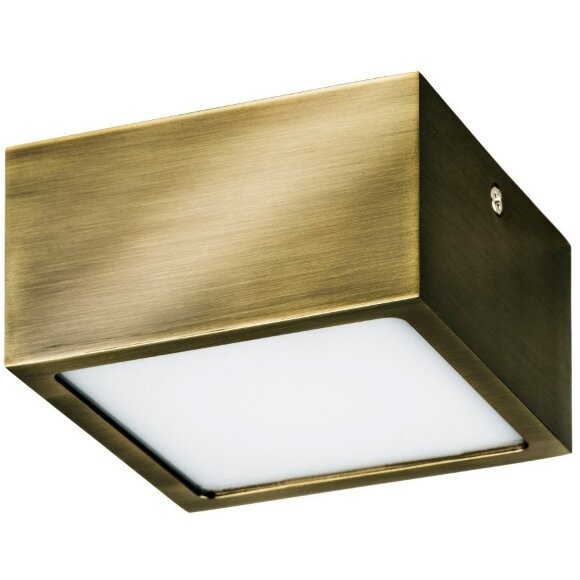 Уличный потолочный светильник Lightstar 213921 Zolla IP44 светодиодный LED 100W