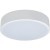 10002/12 White Потолочный светильник LOFT IT Axel