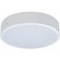 10002/12 White Потолочный светильник LOFT IT Axel