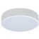 10002/12 White Потолочный светильник LOFT IT Axel