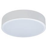 10002/12 White Потолочный светильник LOFT IT Axel