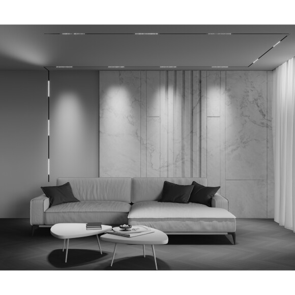 Maytoni EXILITY X TR241-2-6W4K-B Трековый линейный светодиодный черный магнитный светильник длиной 33см, с DIP переключателем группы включения на корпусе, LED 6Вт 4000K 540Лм CRI90 40° IP20 48В