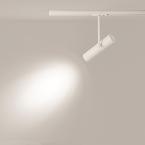 Однофазный двужильный трековый светильник Maytoni Unity TR005-1-GU10-W Elti под сменную лампу GU10 Однофазный двужильный трековый светильник Maytoni Unity TR005-1-GU10-W Elti под сменную лампу GU10