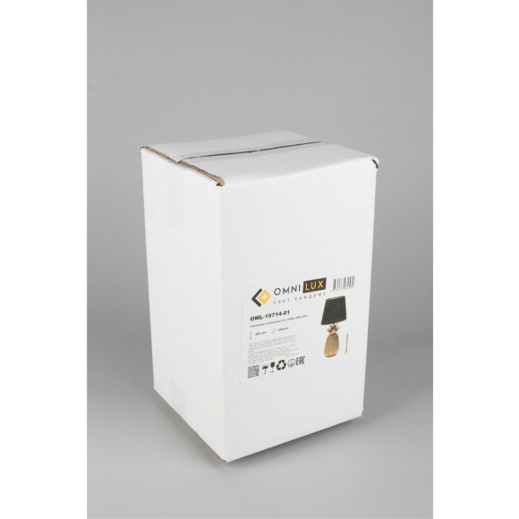 Интерьерная настольная лампа Caprioli OML-19714-01 Интерьерная настольная лампа Caprioli OML-19714-01