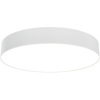 Потолочный светильник Technical C032CL-45W3K-RD-W