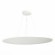 ST602.543.120 Светильник подвесной Белый LED 1*120W 4000K 10 800Lm Ra80 120 IP20 D1 200xH35 185-265 Подвесные светильники
