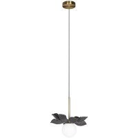 10213/B Black Подвесной светильник LOFT IT Monro