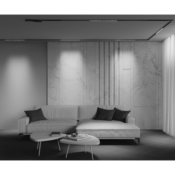 Maytoni EXILITY X TR241-2-12W3K-B Трековый линейный светодиодный черный магнитный светильник длиной 61см, с DIP переключателем группы включения на корпусе, LED 12Вт 3000K 1310Лм CRI90 40° IP20 48В