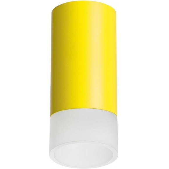 Накладной потолочный светильник Lightstar R43331 RULLO под лампу 1xGU10 50W