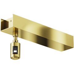 Потолочное основание отступное Short с возм. исп. блока питания в нем Maytoni Flarity TRA156C-BB1-BS Потолочное основание отступное Short с возм. исп. блока питания в нем Maytoni Flarity TRA156C-BB1-BS